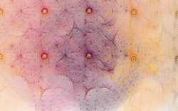 2014 04 21 Slightly Blue 76-white.jpg